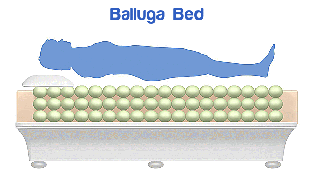 Balluga Bed.gif